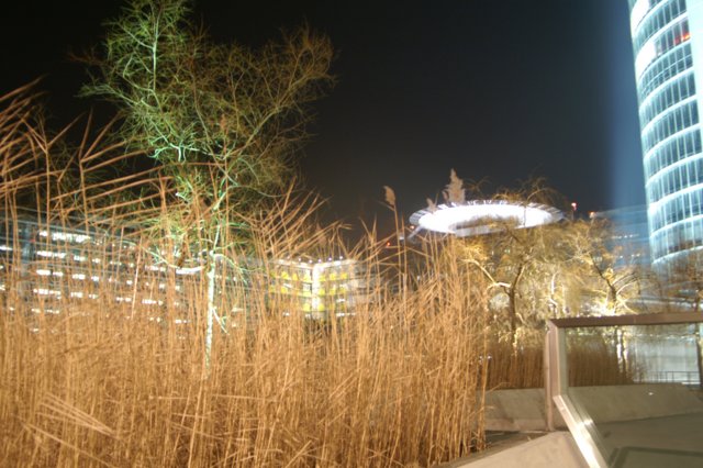 pict0615.jpg