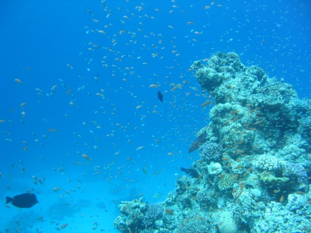 img_0045.jpg