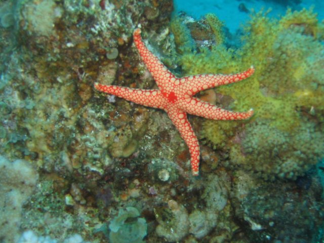 img_5000.jpg
