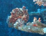 img_5151.jpg